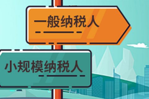 拉薩一般納稅人做賬報(bào)稅代理費(fèi)用為什么高于小規(guī)模納稅人？